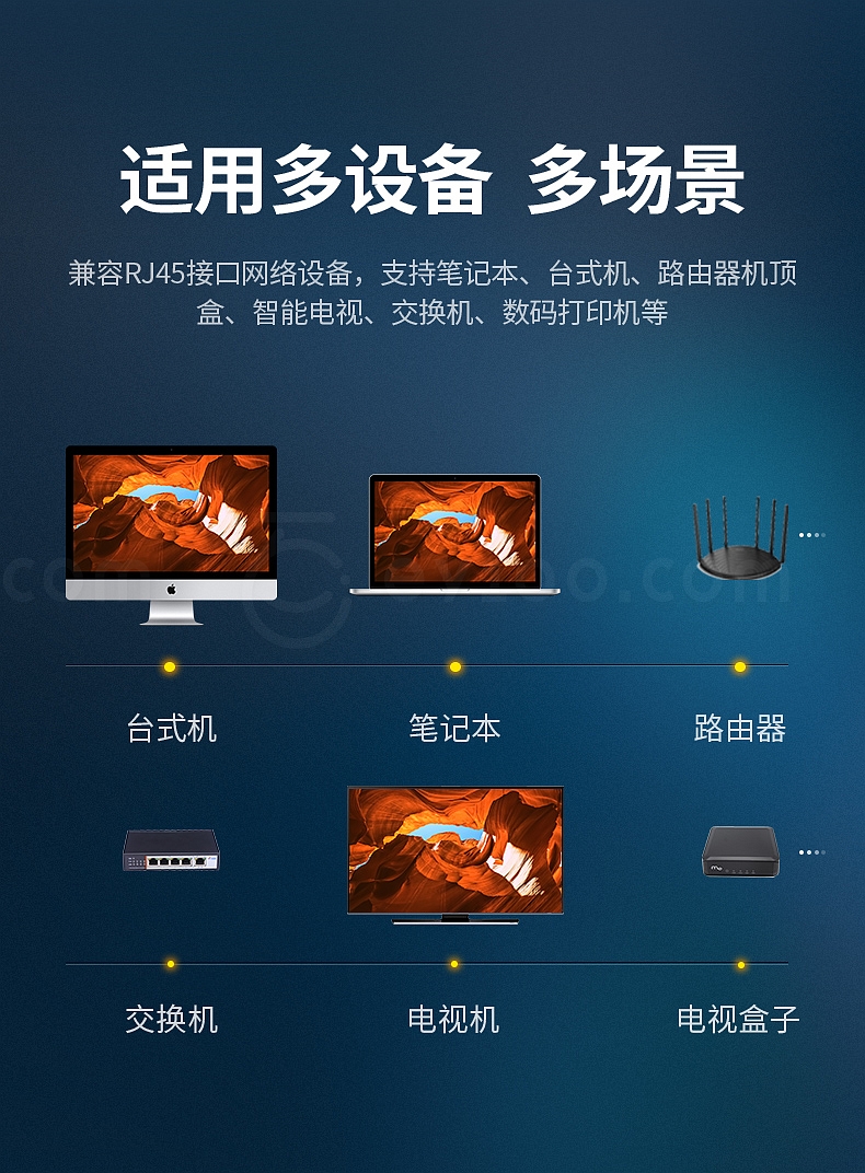 绿联数码网络交换 多元化数字生态的桥梁与未来